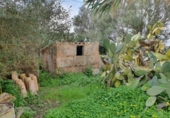 Terreno no urbanizable en venta en la España, Campos, ref: TR117068 foto