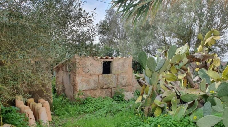 Balearic Islands - Campos - 10000m2