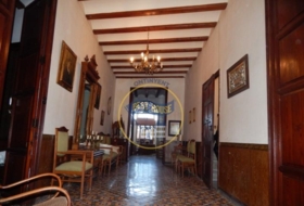 Foto 20