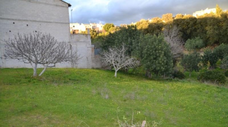 Balearic Islands - Campanet - 890m2