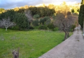 Land suitable for development for sale on España, Campanet, ref: TR115072 photo