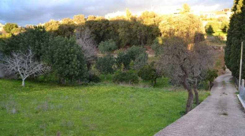 Balearic Islands - Campanet - 890m2