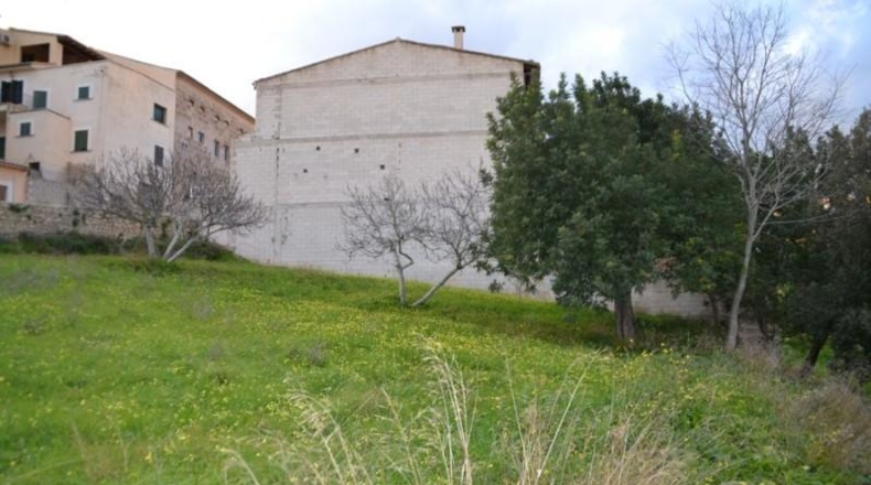 Balearic Islands - Campanet - 890m2