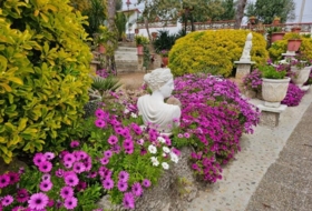 Foto 15