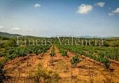 Casa con terreno en venta en la España, Azuébar, ref: TR398856 foto