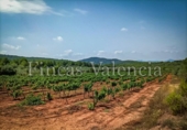 Casa con terreno en venta en la España, Azuébar, ref: TR398856 foto