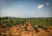 Casa con terreno en venta en la España, Azuébar, ref: TR398856 foto