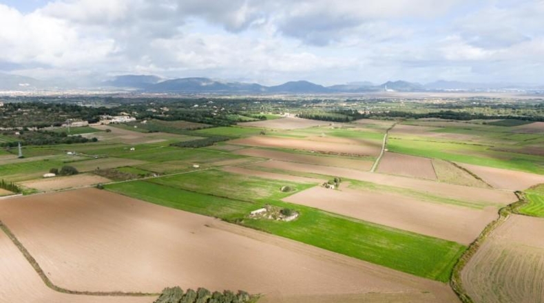 Islas Baleares - Muro - 21000m2