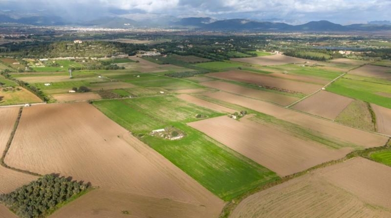Islas Baleares - Muro - 21000m2
