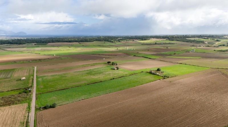 Islas Baleares - Muro - 21000m2