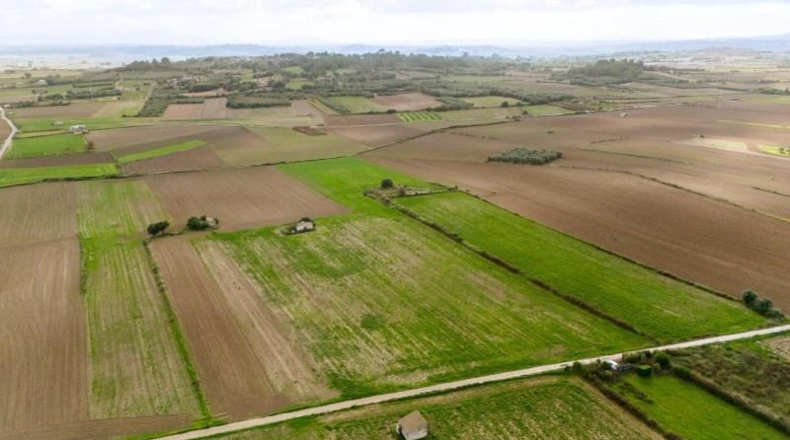 Islas Baleares - Muro - 21000m2