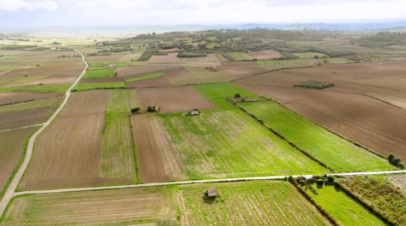 Islas Baleares - Muro - 21000m2
