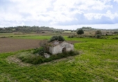 Terreno no urbanizable en venta en la España, Muro, ref: TR362457 foto