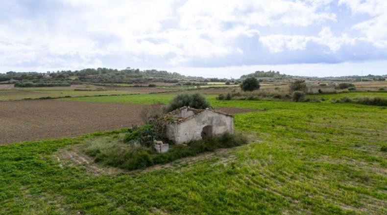 Islas Baleares - Muro - 21000m2