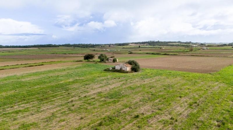 Islas Baleares - Muro - 21000m2