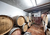 Casa de pueblo en venta en la España, Azuébar, ref: TR338043 foto