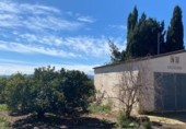 Terreny no urbanitzable en venda a la España, Llíria, ref.: TR311242 foto