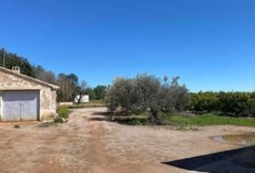 Foto 15