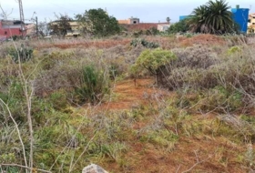 Tacoronte 2339&nbsp;m²