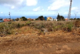 Tacoronte 2339&nbsp;m²