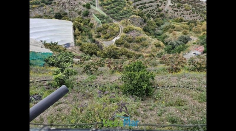 Granada - Ítrabo - 15000m2