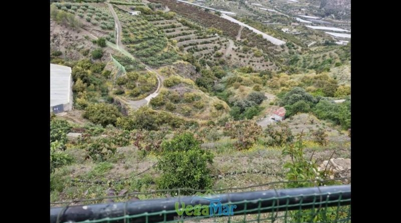 Granada - Ítrabo - 15000m2