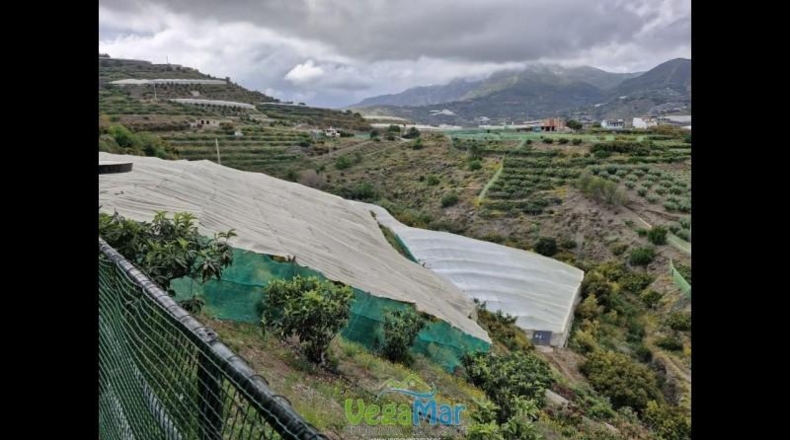 Granada - Ítrabo - 15000m2