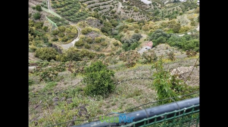 Granada - Ítrabo - 15000m2