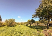 Casa de campo con terreno en venta en la España, Costitx, ref: TR400780 foto