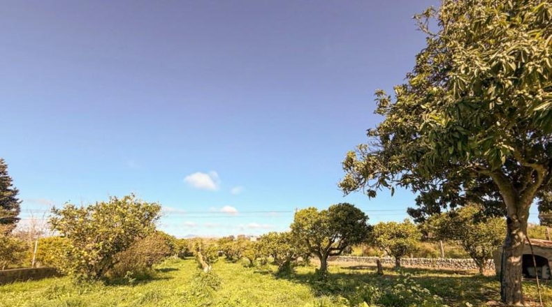 Illes Balears - Costitx - 130m2
