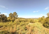 Casa de campo con terreno en venta en la España, Costitx, ref: TR400780 foto