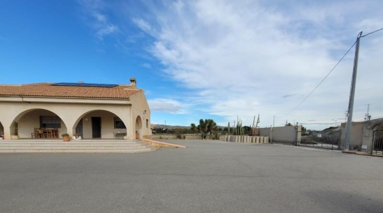 Alicante - Crevillent - 6000m2