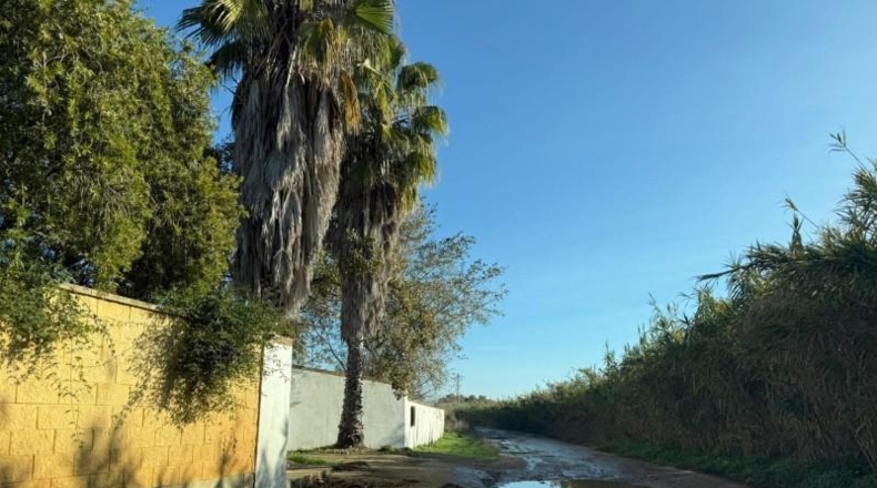 Sevilla - Pilas - 2389m2