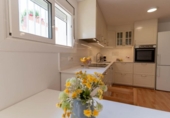 Casa de campo con terreno en venta en la España, Olesa de Montserrat, ref: TR405855 foto