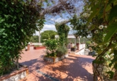 Casa de campo con terreno en venta en la España, Olesa de Montserrat, ref: TR405855 foto
