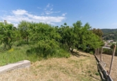 Casa de campo con terreno en venta en la España, Olesa de Montserrat, ref: TR405855 foto
