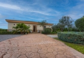 Casa de campo con terreno en venta en la España, Pilas, ref: TR367829 foto