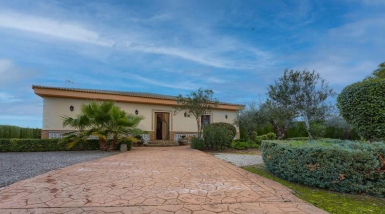 Sevilla - Pilas - 2500m2