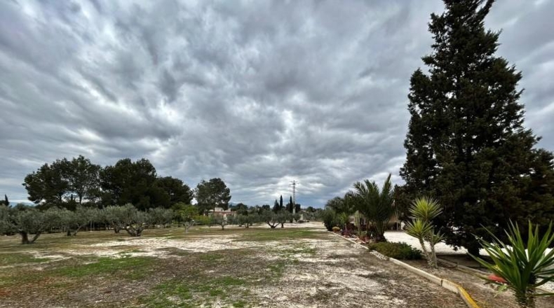 Мурсия - Molina de Segura - 5000m2