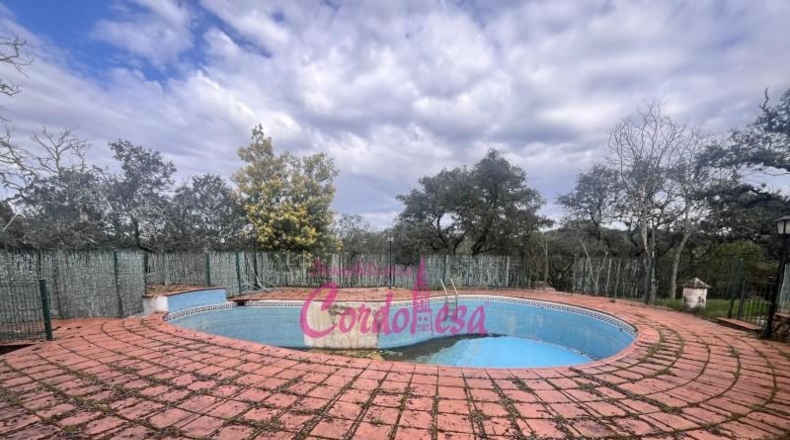 Córdoba - Córdoba - 7000m2