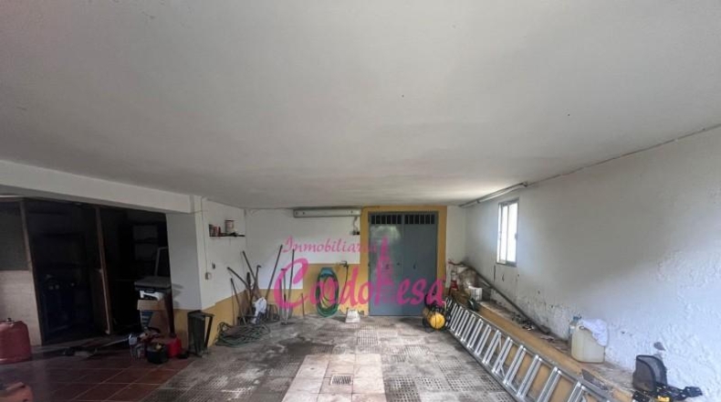 Córdoba - Córdoba - 7000m2