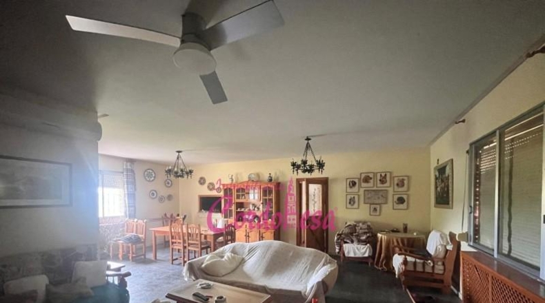 Córdoba - Córdoba - 7000m2