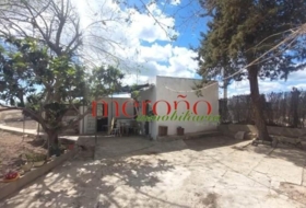 Foto 13