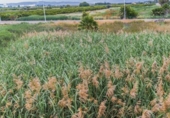 Suelo urbano en venta en la España, Moncofa, ref: TR393994 foto