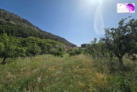 Alhama de Aragón 6000&nbsp;м²