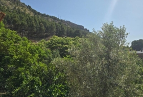 Alhama de Aragón 6000&nbsp;м²