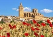 House with land for sale on España, Sineu, ref: TR269801 photo