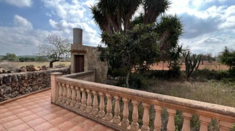 Balearic Islands - Sineu - 29000m2