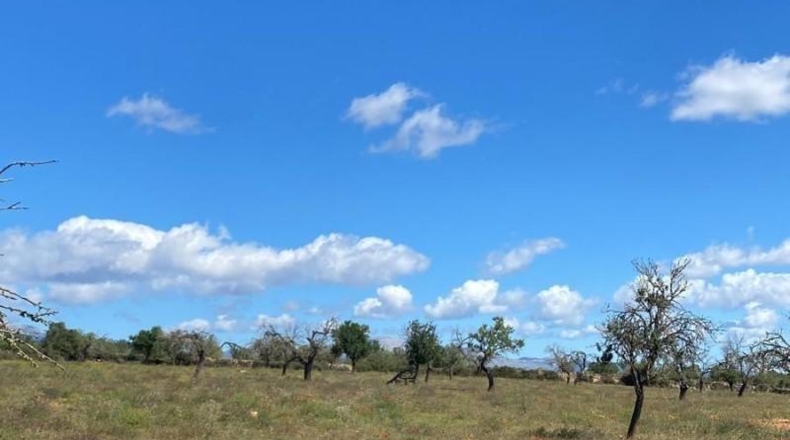 Balearic Islands - Sineu - 29000m2