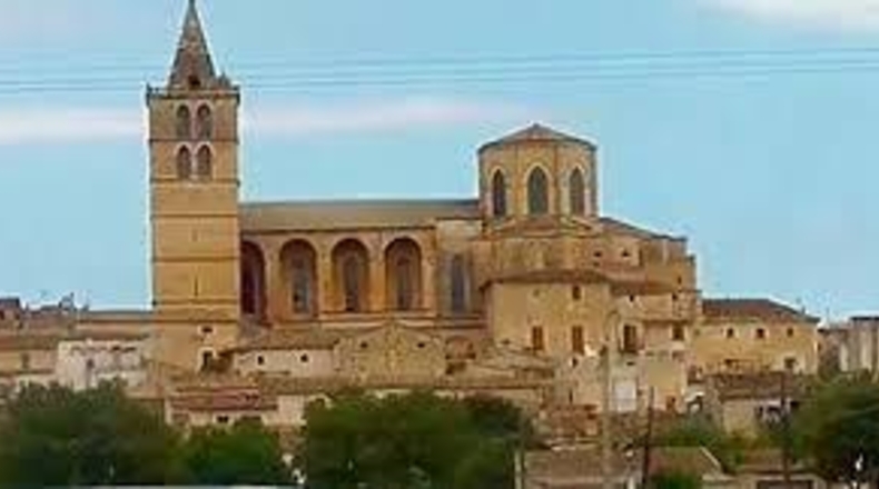 Balearic Islands - Sineu - 29000m2